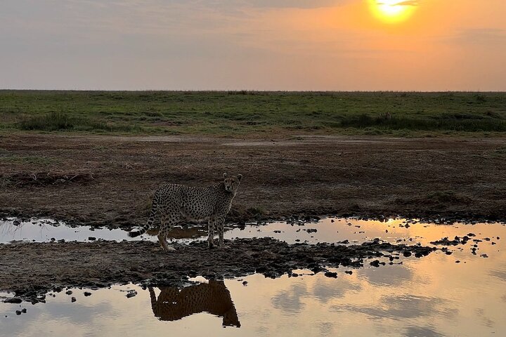 NGORONGORO CRATER