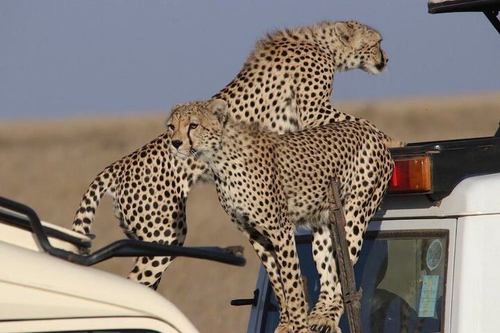 SERENGETI NATIONAL PARK