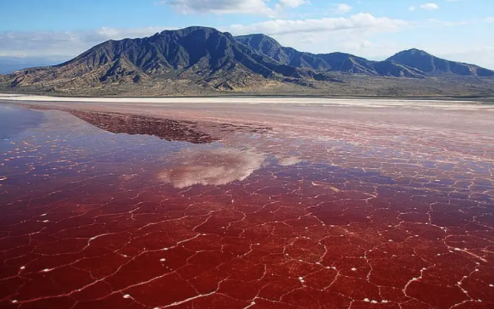 LAKE NATRON