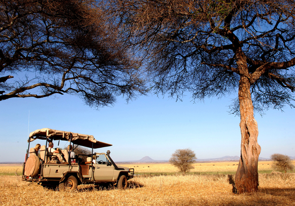 NGORONGORO CRATER