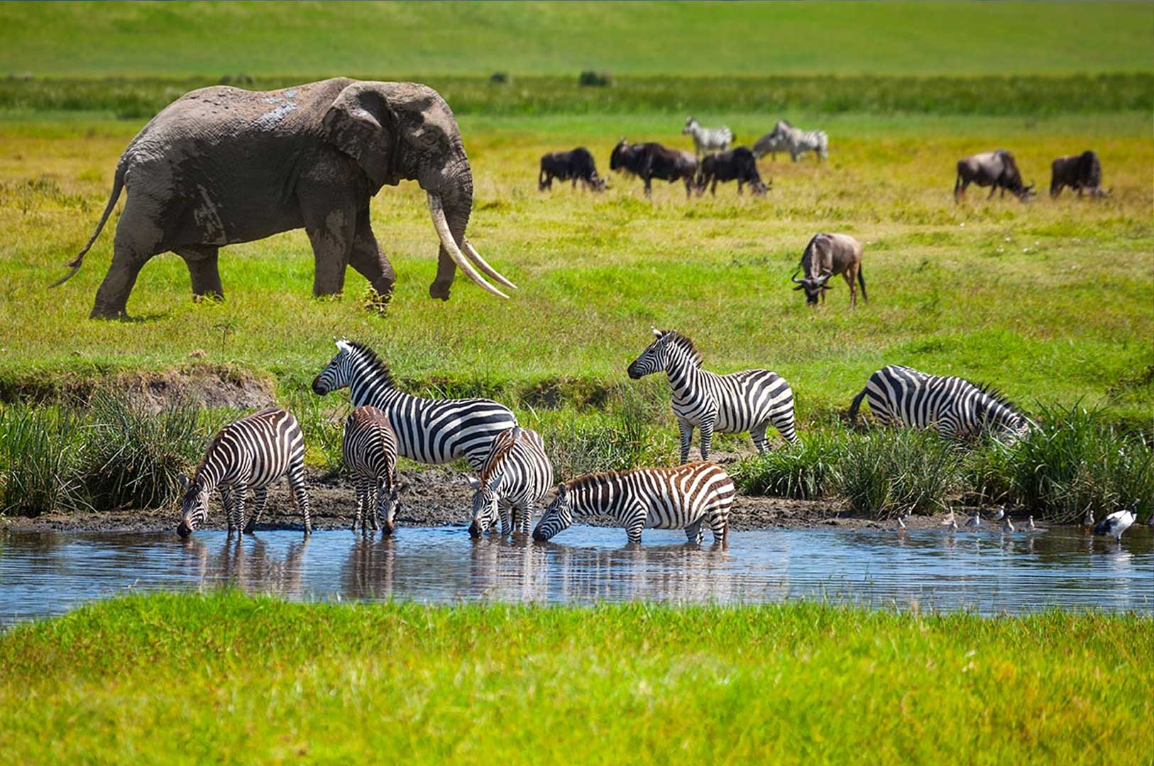 NGORONGORO CRATER