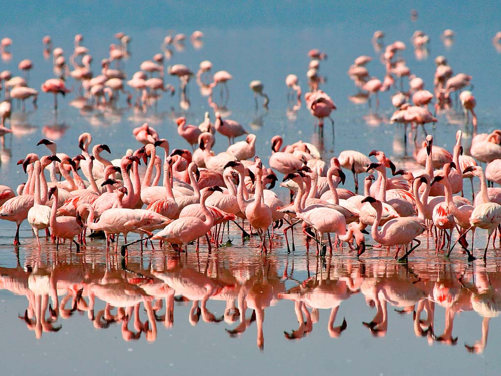 LAKE MANYARA NATIONAL PARK