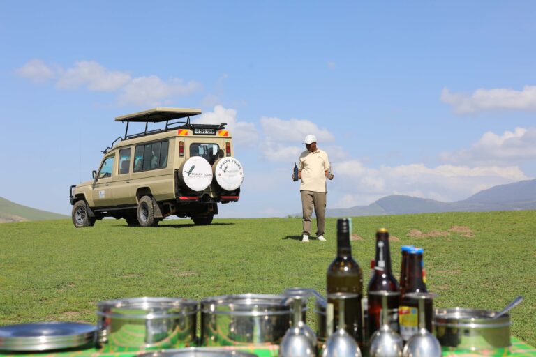 TARANGIRE NATIONAL PARK 