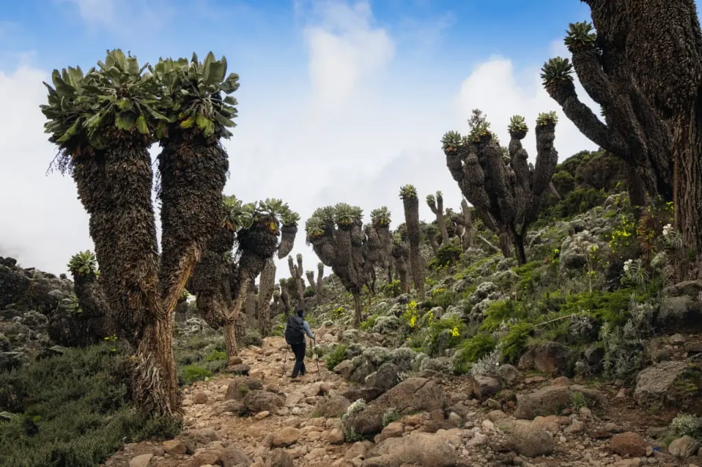 BARRANCO VALLEY