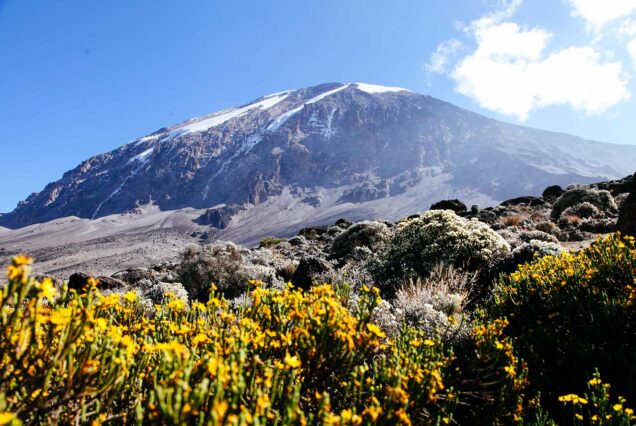 Kilimanjaro Lemosho Route