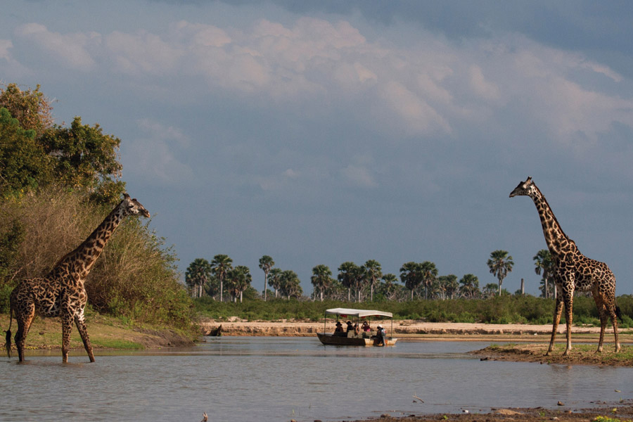 SELOUS-GAME-RESERVE