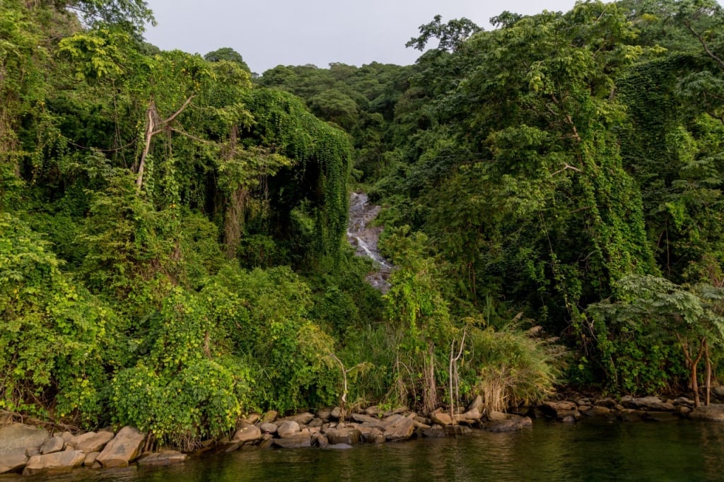 mahale mountains national park safari