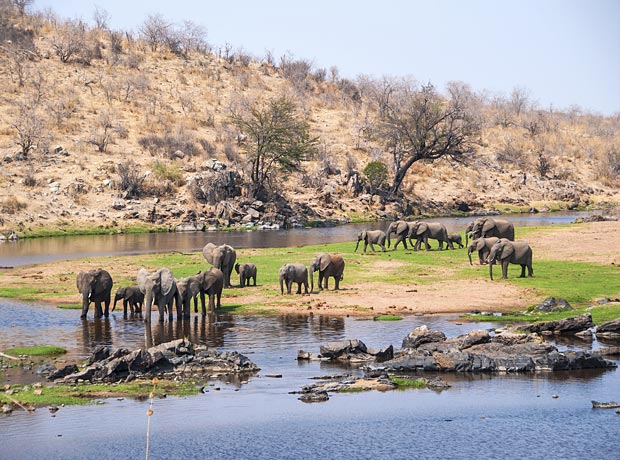 ruaha_national_park_safaris_tours