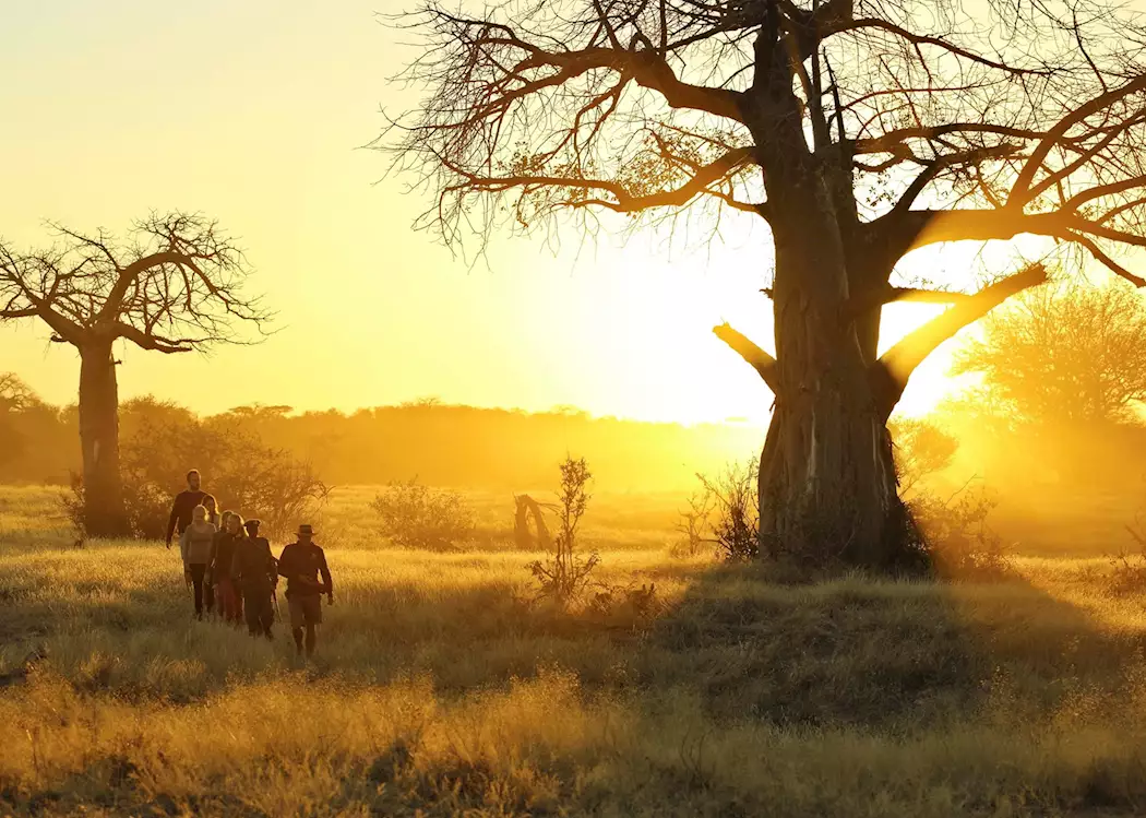 walking-safari-ruaha