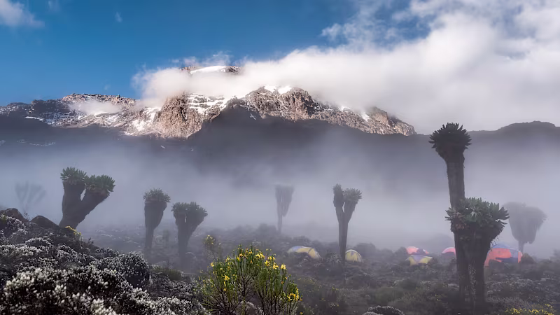 Mount-Kilimanjaro