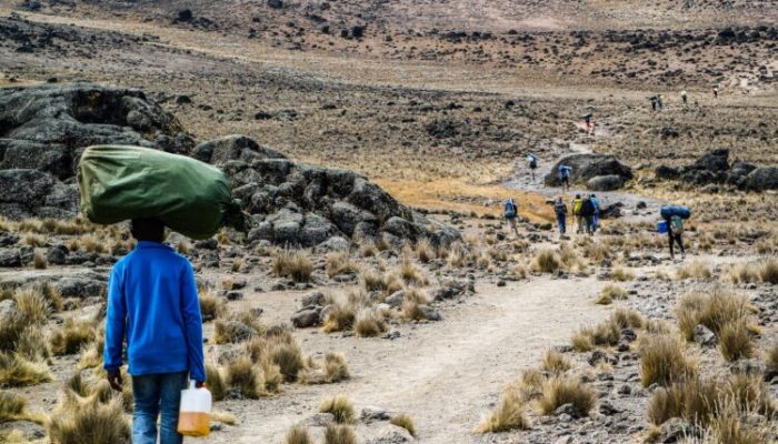 7-Day6-Day-Kilimanjaro-Hiking-Tour-via-Machame-Route-750x450 (1)