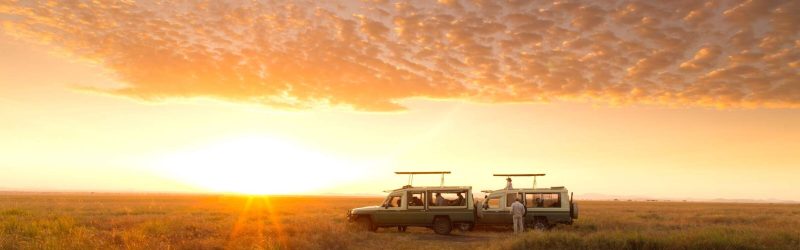 Best-Safari-tours-from-serengeti