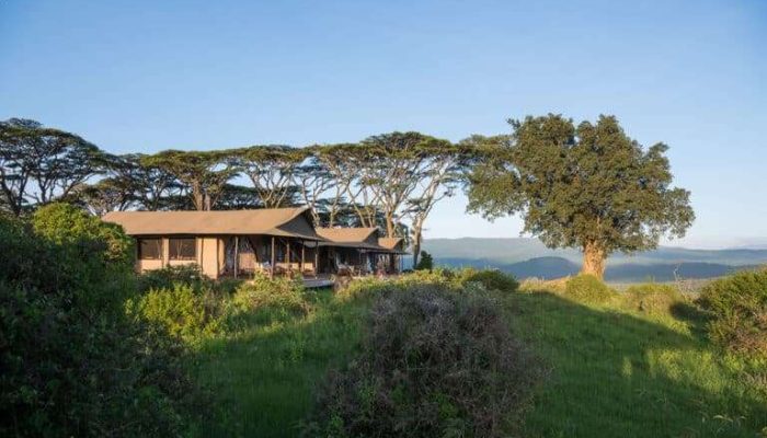 Entamanu-Ngorongoro1-768x512