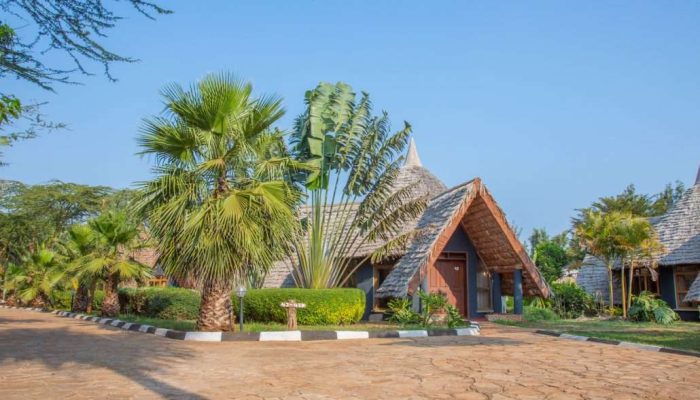 Farm-of-Dream-Lodge-Karatu6-1030x687-1