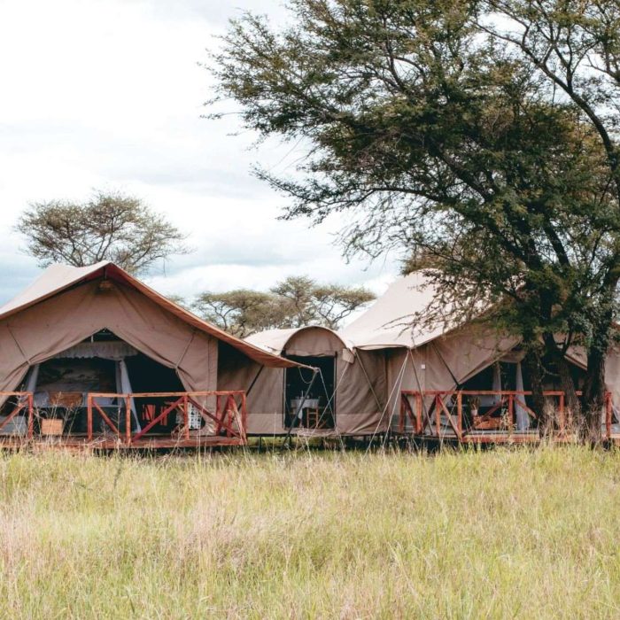 IM_TZ_NDU_Pamoja-Migration-Camp_Outside-of-camp