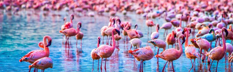 Lake-Manyara-National-Park (2)