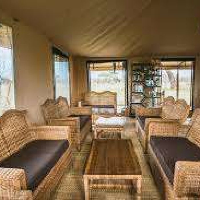 MARA PURE MIGRATION CAMP