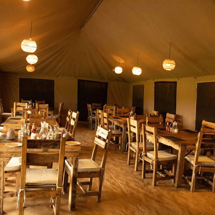 Pure Camps