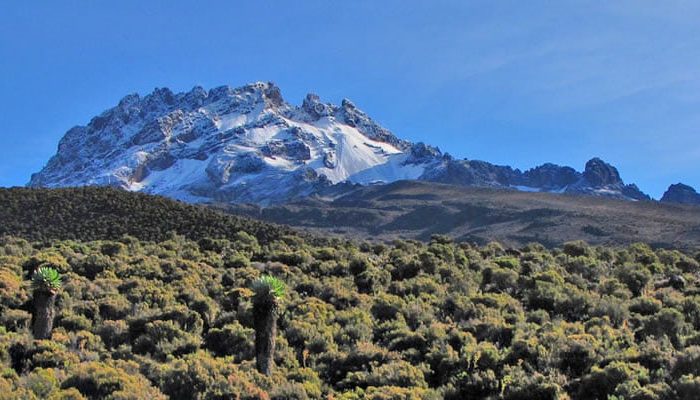 Mount-Kilimanjaro-8