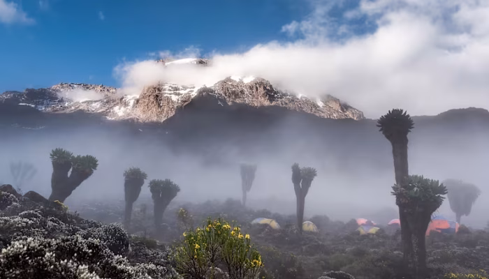 Mount-Kilimanjaro