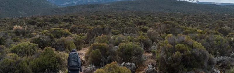 SHIRA PLATEAU