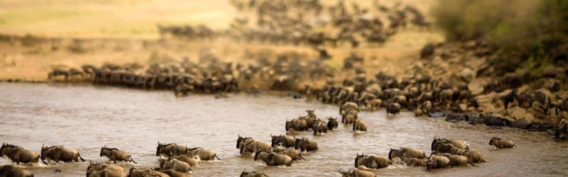 Serengeti-National-Park (5)