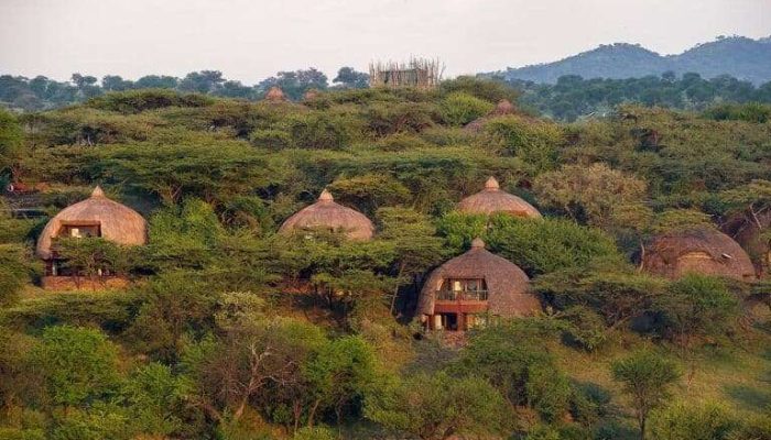 Serengeti-Serena-Safari-Lodge-768x512