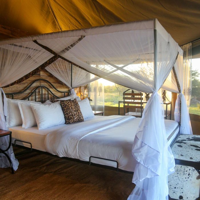 Serengeti-Sound-Of-Nature-Camp-9
