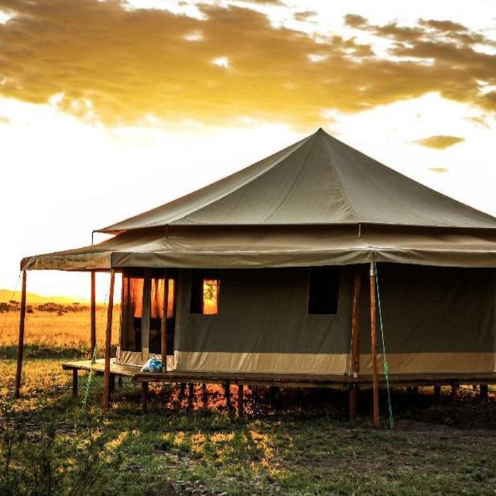 Serengeti_Sound0fsilence_006
