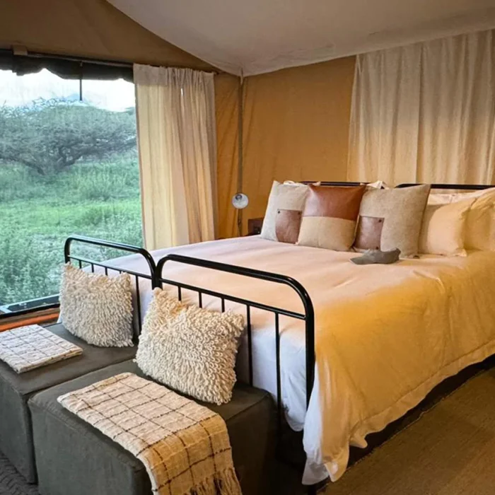 Simbavati-Migration-Camp-gallery1 (1)