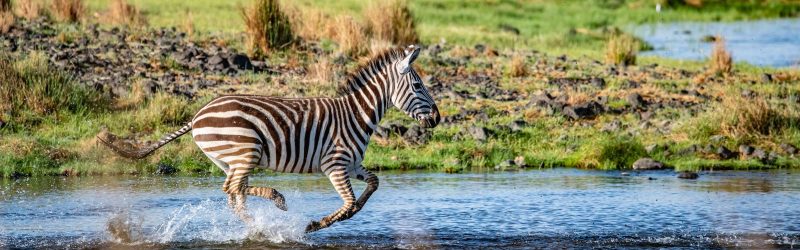TANZANIA-2022-by-AIB-PROD-Alban-FERRAND-3136