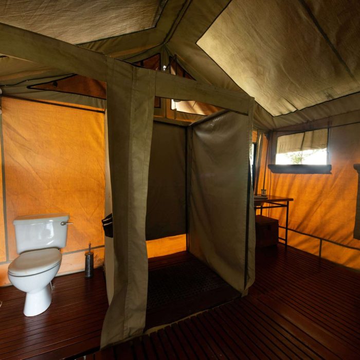 Tarangire-Kati-Kati-Tented-Camp-2