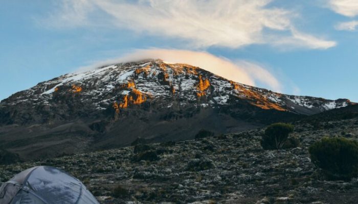The-Ecosystem-of-Mount-Kilimanjaro-National-Park-e1691252348891-750x450
