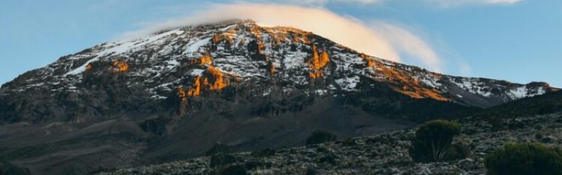 The-Ecosystem-of-Mount-Kilimanjaro-National-Park-e1691252348891-750x450