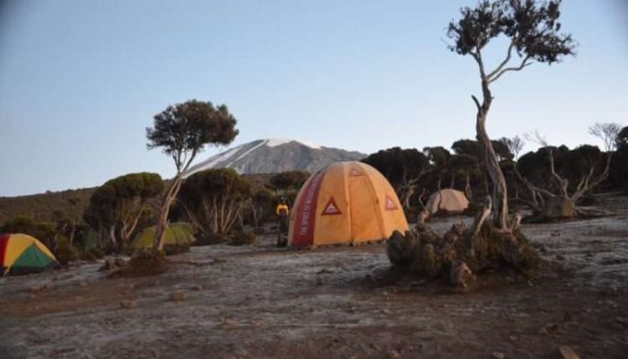 The-Mweka-Camp-of-Mount-Kilimanjaro-in-Tanzania-750x450