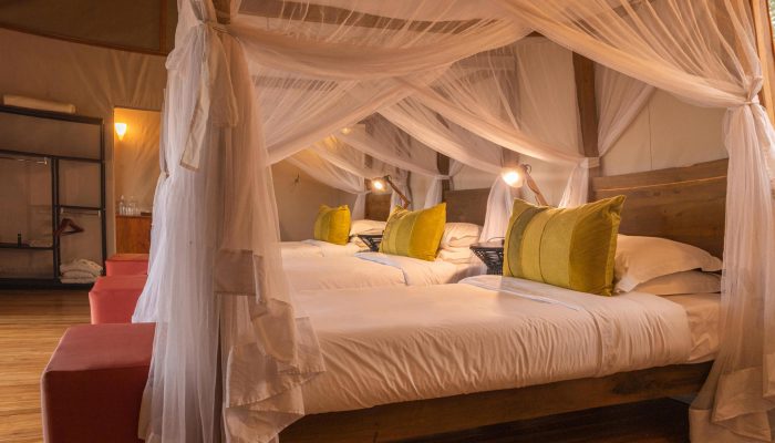 family-room-sayari-camp-the-serengeti-tanzania