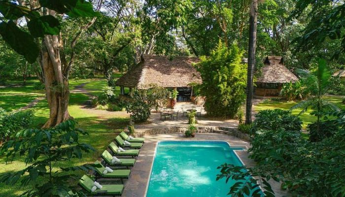 garden-pool