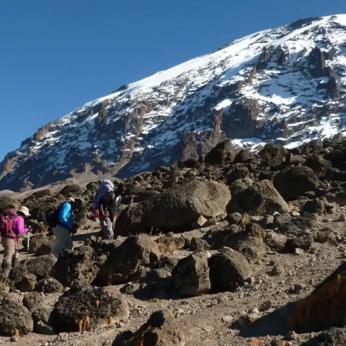 kilimanjaro3