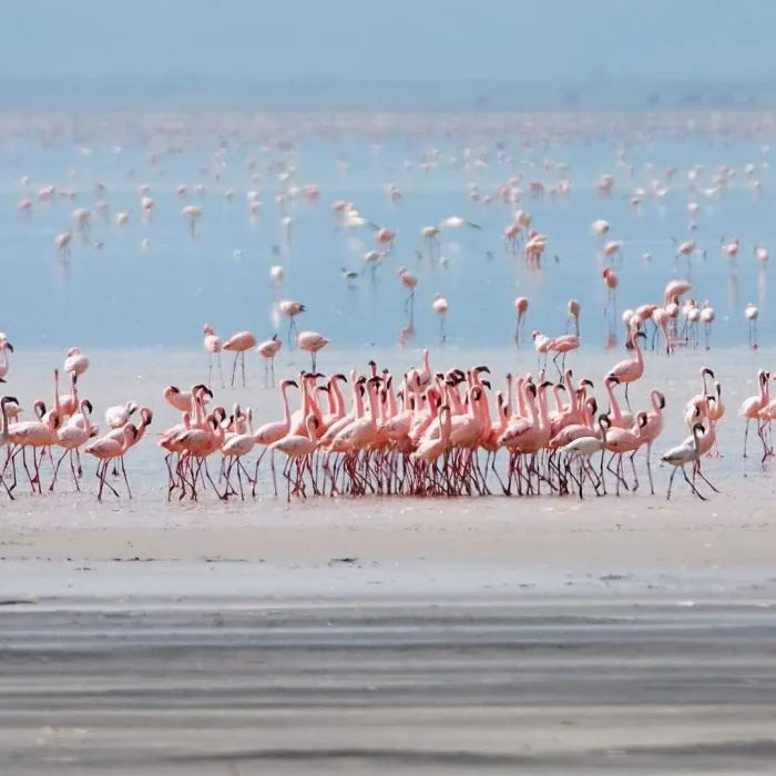 lake-manyara