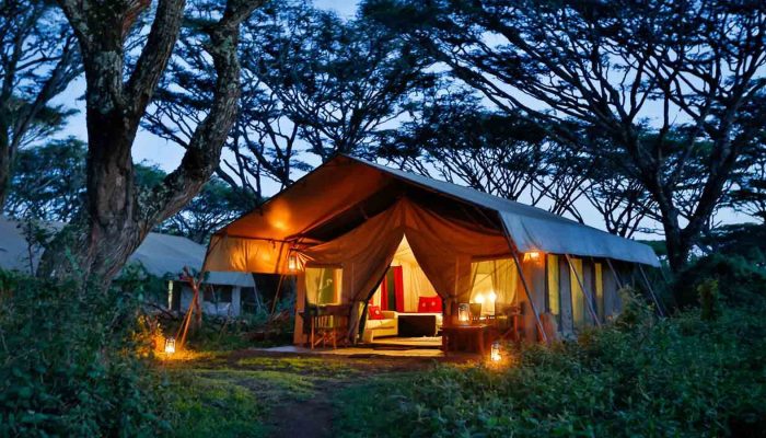 lemala-ngorongoro-a-safari-guide-to-gibbs-farm-ngorongoro-highlands=401023-350