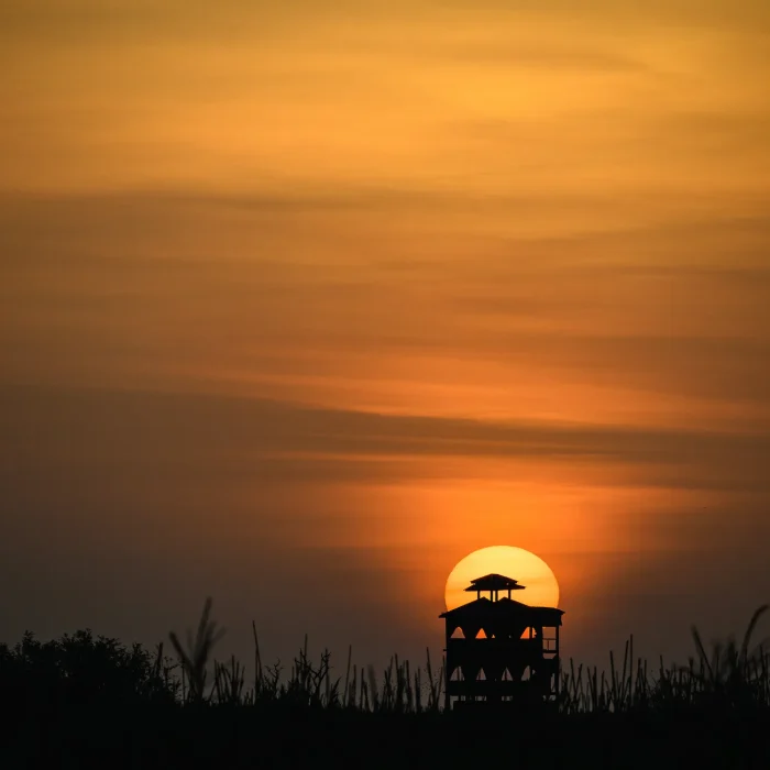 little-okavango-camp-serengeti-sunset