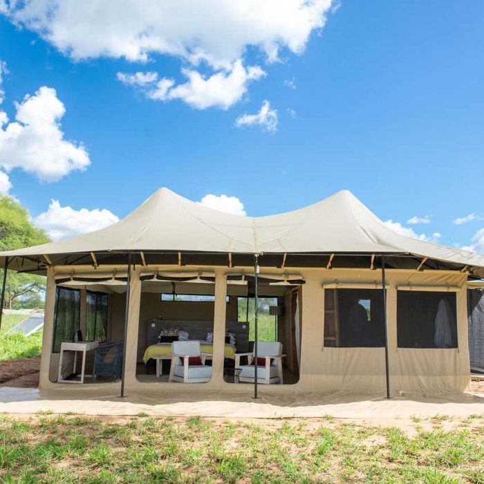 lolkisale-camp-guest-1