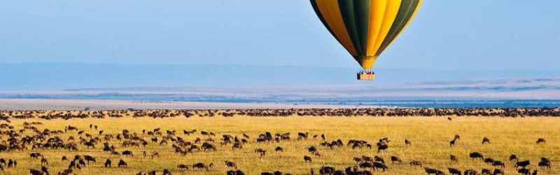 mara-ballooning-hot-air-ballooning-safari-786x416-1-750x416-1.jpg