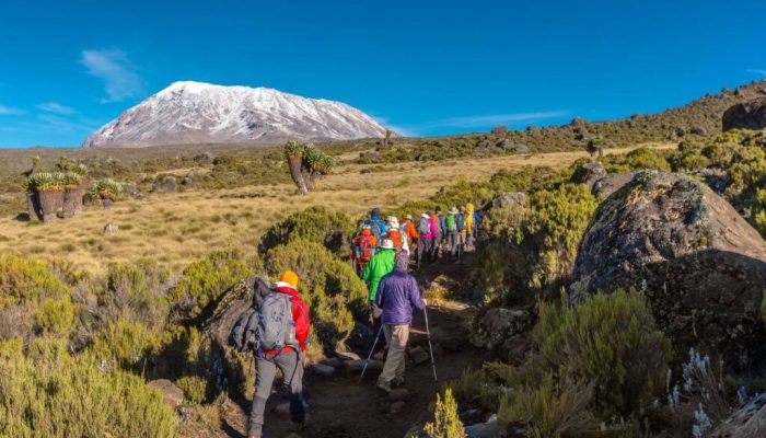 marungi route kilimanjaro