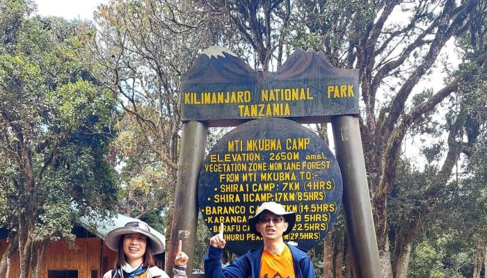 mount-kilimanjaro-7-days-hike-lemosho-route-5187728