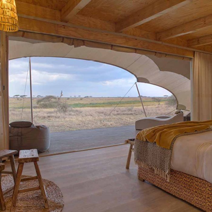 namiri-plains-asilia-camps-tanzania-odyssey=401151-300
