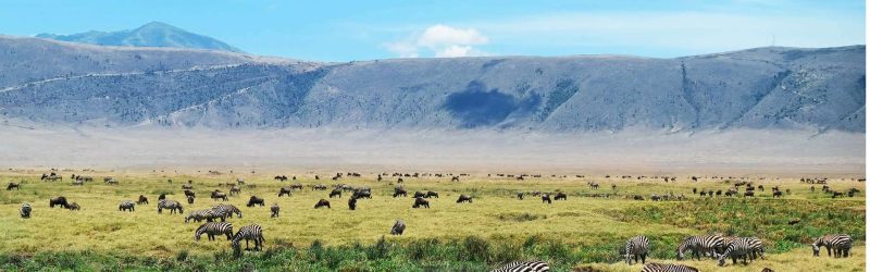 ngorongoro-conservation-area