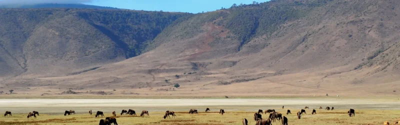 ngorongoro crater3