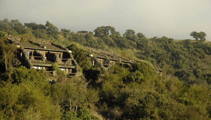 ngorongoro-serena=401060-320