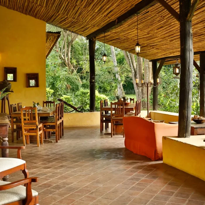 rivertrees-lodge-terrace